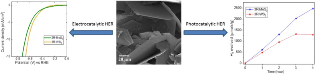 TOC image for ZAAC publication